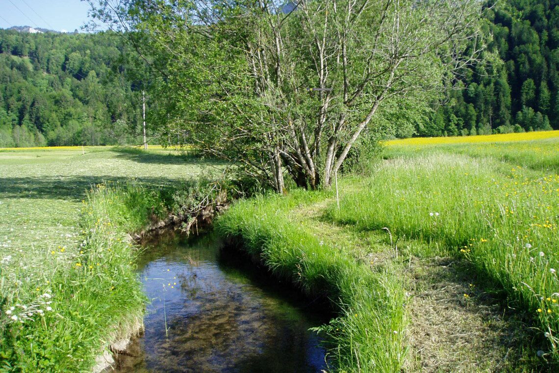 Barfußweg Bizau, Gemeinde Bizau @Anna Maria Moosbrugger