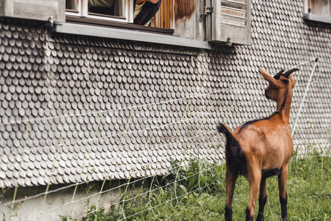 Frühling Berghütte ©Stefan Leitner
