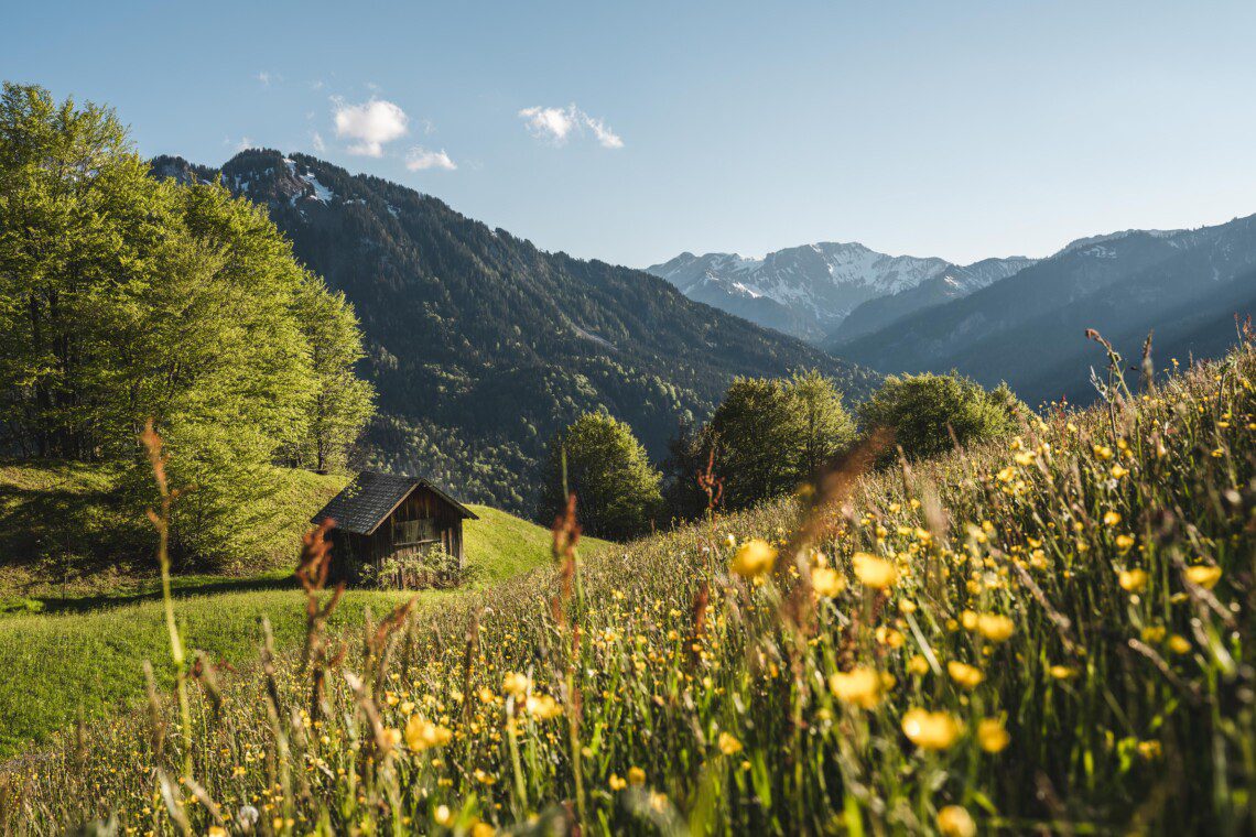 Bregenzerwald ©Stefan Leitner